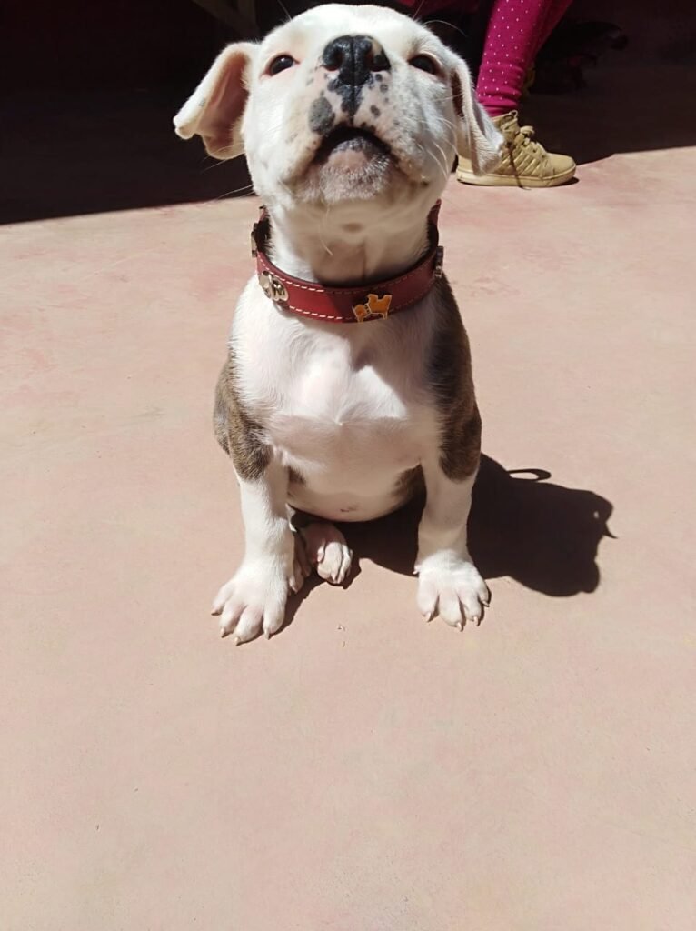 59305840 2680864698604327 6019370521878069248 n