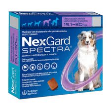 nexgard spectra masticable (15 30kg)