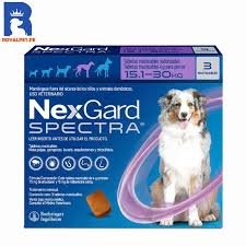 nexgard spectra masticable (15 30kg) nexgard spectra masticable (15 30kg)
